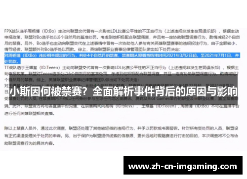 小斯因何被禁赛？全面解析事件背后的原因与影响